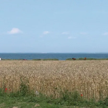 Holiday Vinkelbaek Xii *